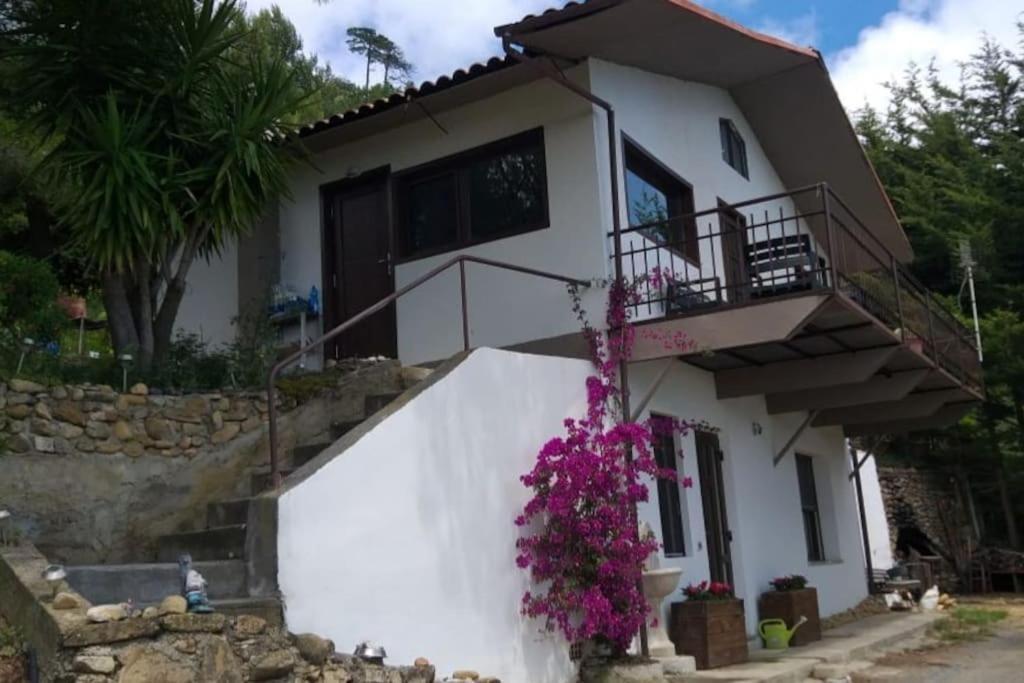 산레모 Detached House With Garden And Sea View 게스트하우스 외부 사진